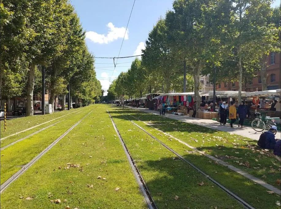 Appartamento Le Studio Jardin D'Eden Metro Palais De Justice Tolosa Esterno foto